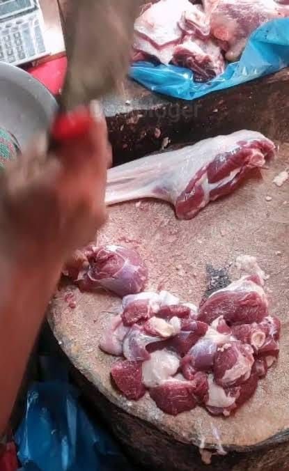 Untitled design (11)