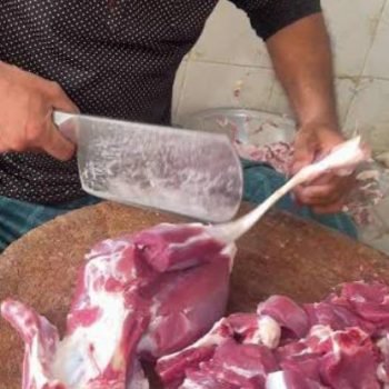 Untitled design (12)