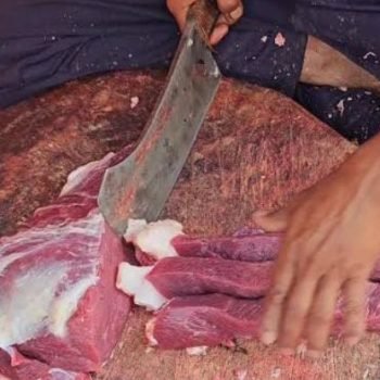 Untitled design (13)