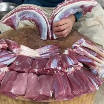 Untitled design (14)