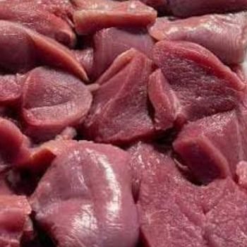 Untitled design (15)