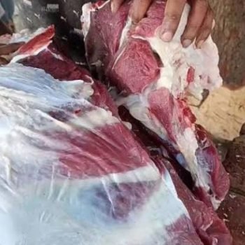 Untitled design (16)