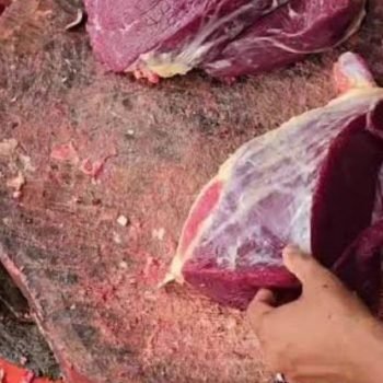 Untitled design (17)